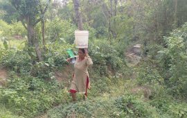 दङ्गीशरणको बागरमा छैन खानेपानी