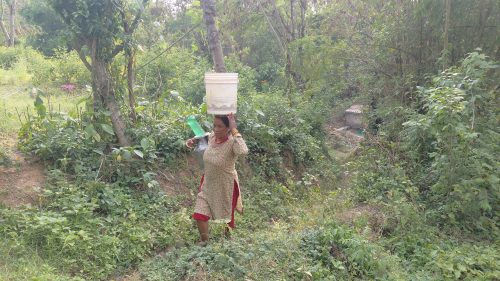 दङ्गीशरणको बागरमा छैन खानेपानी