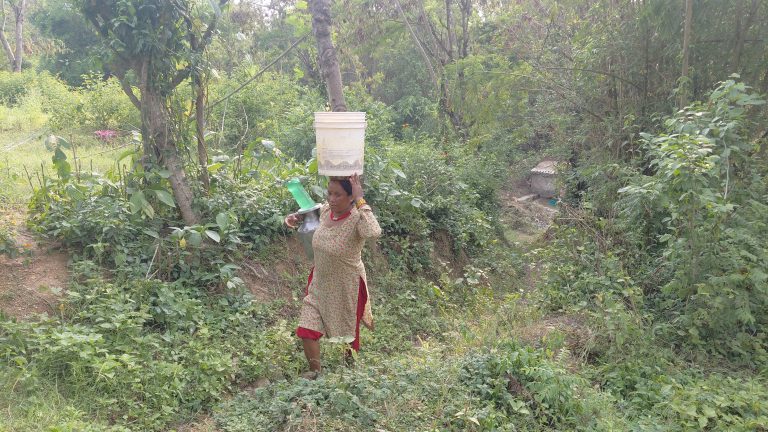 दङ्गीशरणको बागरमा छैन खानेपानी