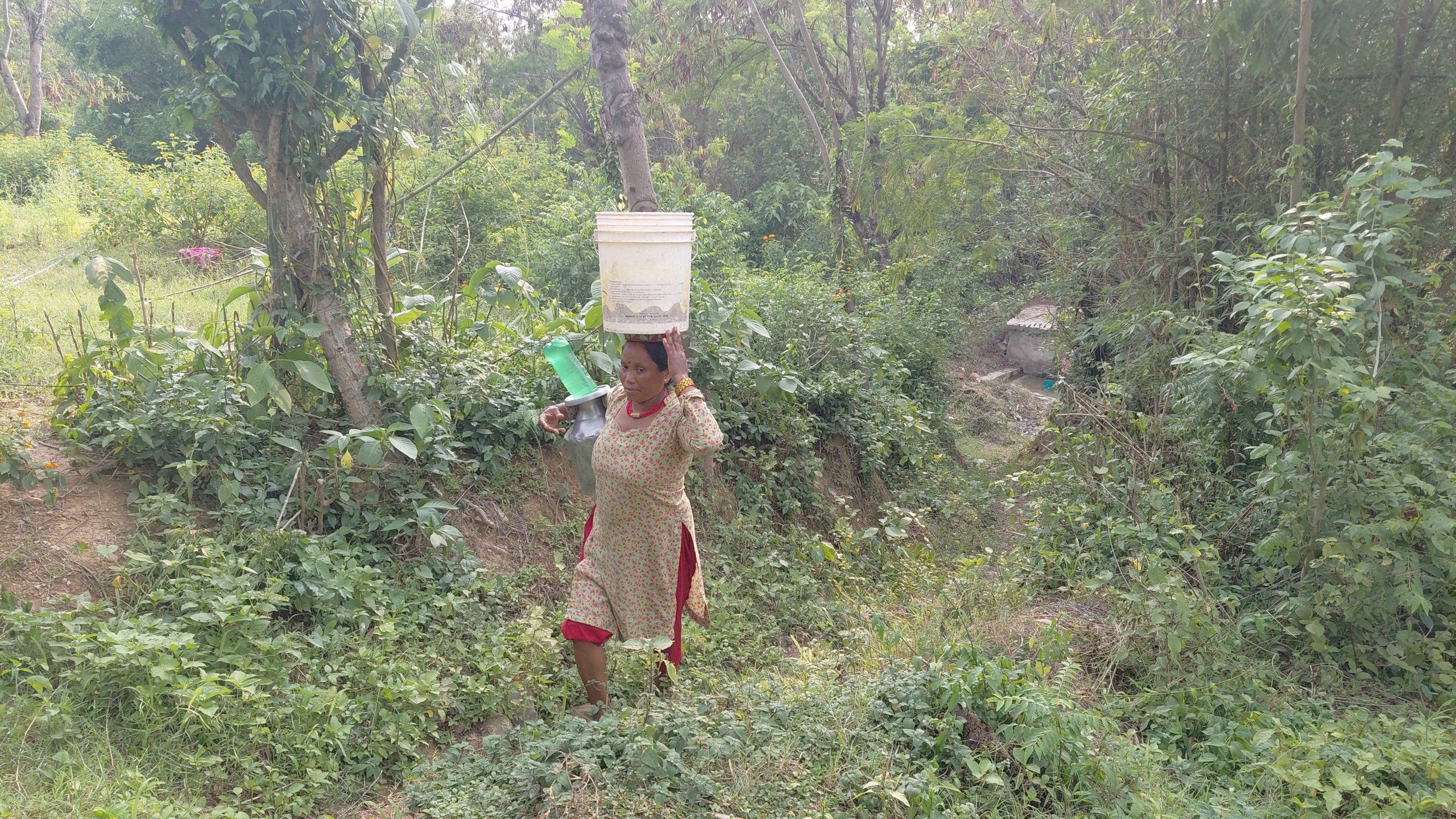 दङ्गीशरणको बागरमा छैन खानेपानी