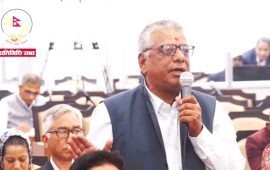 संसद् सरकारको छायाँमा पर्‍यो : सांसद खड्का