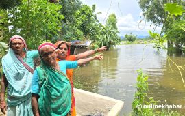 नहरको निकास थुन्दा डुब्यो डरौल गाउँ, २०० बिघा खेत जलमग्न  