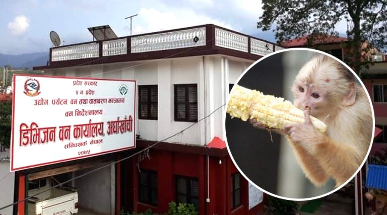 अर्घाखाँचीमा २० जना बाँदर हेरालाका लागि आवेदन आह्वान