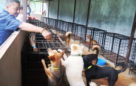 बागलुङमा एक करोड लगानीमा कुकुरका लागि ‘होस्टेल’ सञ्चालन