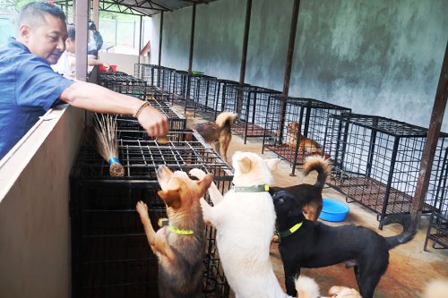 बागलुङमा एक करोड लगानीमा कुकुरका लागि ‘होस्टेल’ सञ्चालन
