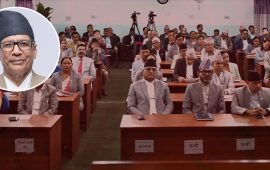 गण्डकीमा पहिलो पटक प्रदेश प्रमुखले विधेयक फर्काए, गाँजा विधेयक संसद्‌मै फर्कियो