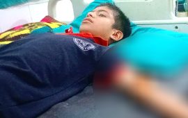 बाँदरको आक्रमणबाट विद्यालयबाट घर फर्किरहेका विद्यार्थी घाइते