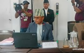 विदेशमा रहेका नेपालीका लागि मतदानका पाँच मोडल प्रस्ताव