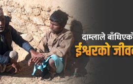 १४ वर्षदेखि दाम्लोमा बाँधिएर जीवन कटाइरहेका ईश्वर