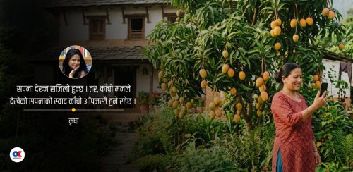 स्मृतिको जरा मस्तिष्कमा होइन मुटुमा उम्रिन्छ