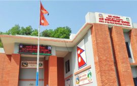 म्याग्दे गाउँपालिकाको नीति- बाँदर नियन्त्रण मुख्य प्राथमिकता