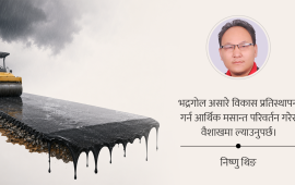 असारे विकासको चटारो