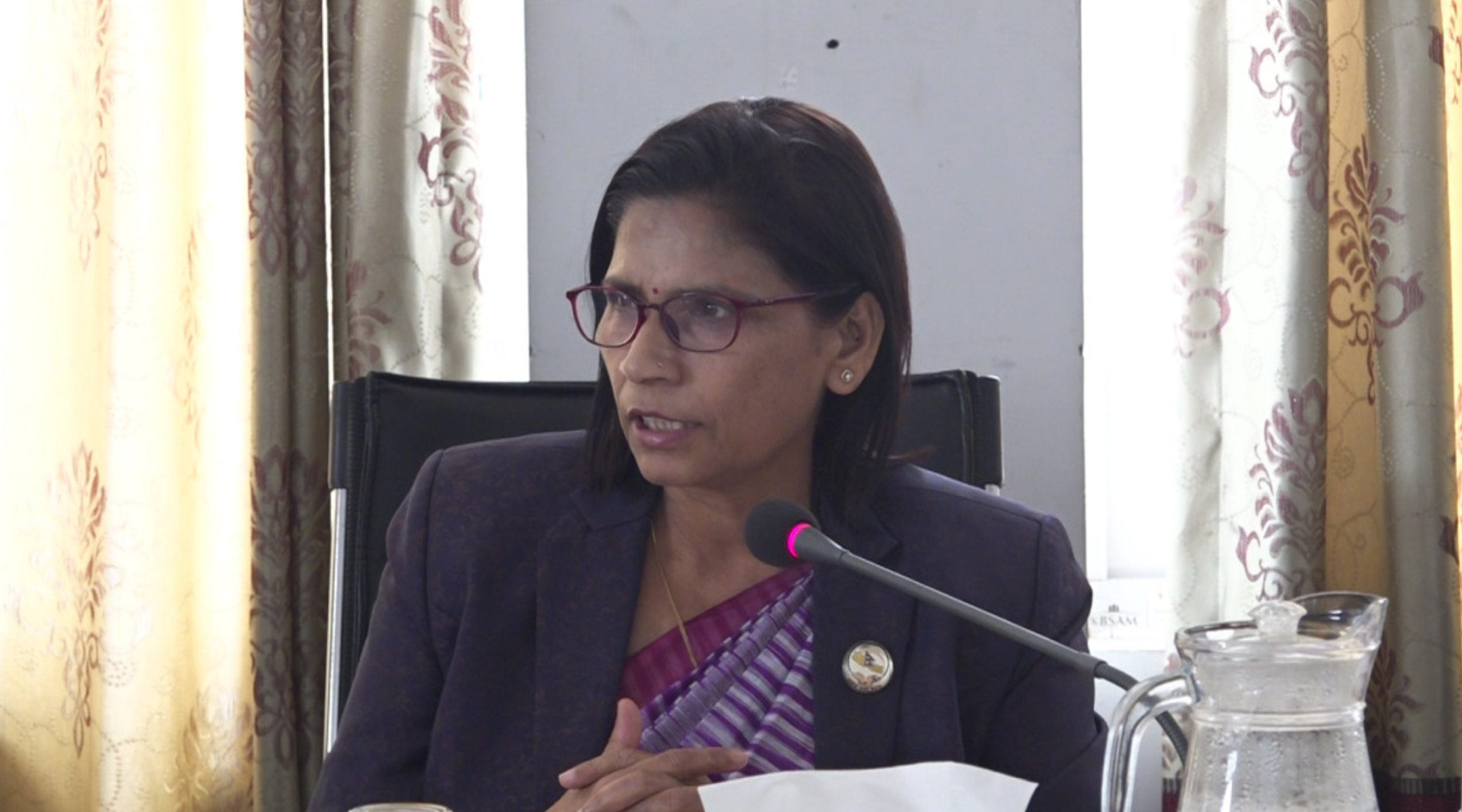 सुनुवाइका लागि प्रस्तावित व्यक्तिको विवरणलाई समितिमा मात्रै सीमित नगरौं : पद्मा अर्याल
