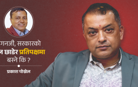 प्रदेश राजनीतिमा परम्परागत दल : जनमतको सन्देश किन नबुझेको ?