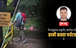 जङ्गलले सोधेको एउटा प्रश्न, जसको उत्तर हामीसँग छैन