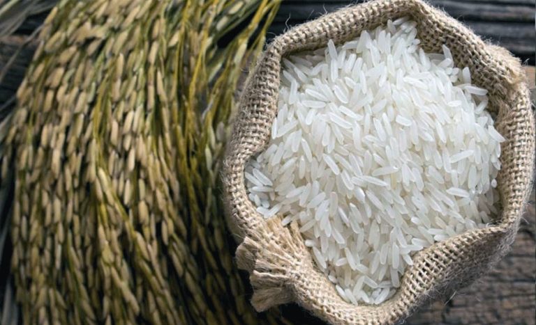भारतीय प्रभावले नेपालमा महँगियो चामल