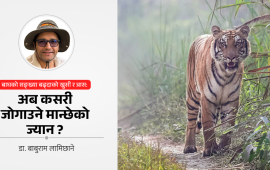बाघ जोगाउन सफल नेपालसामु अब मान्छे जोगाउने चुनौती