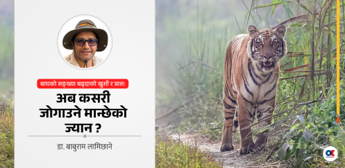 बाघ जोगाउन सफल नेपालसामु अब मान्छे जोगाउने चुनौती