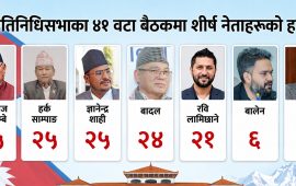संसद्‌मा बालेनभन्दा थोरै जान्छन् प्रचण्ड