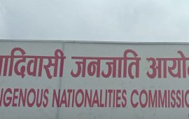 संविधान संशोधनका लागि आदिवासी जनजाति आयोगले अघि सार्‍यो २५ बुँदे प्रस्ताव