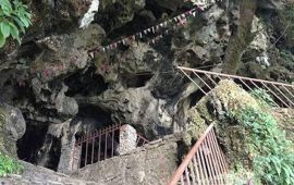 संरक्षण पर्खाइमा ताप्लेजुङको चमेरे गुफा