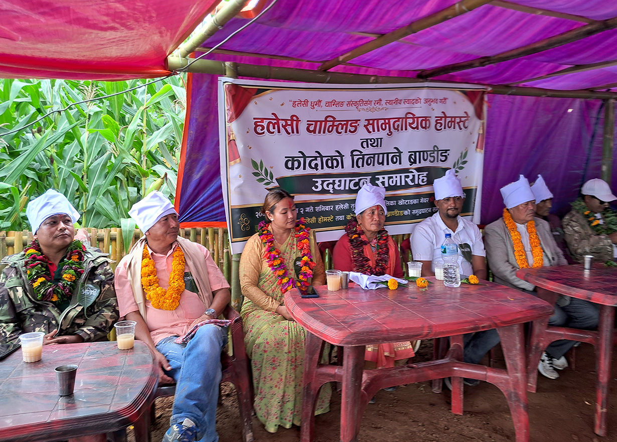 ऐसेलुखर्कमा सामुदायिक होमस्टे