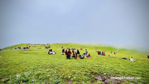 चौरीखर्क : बुकीफूल र बादलको लुकामारी (तस्वीरहरू)