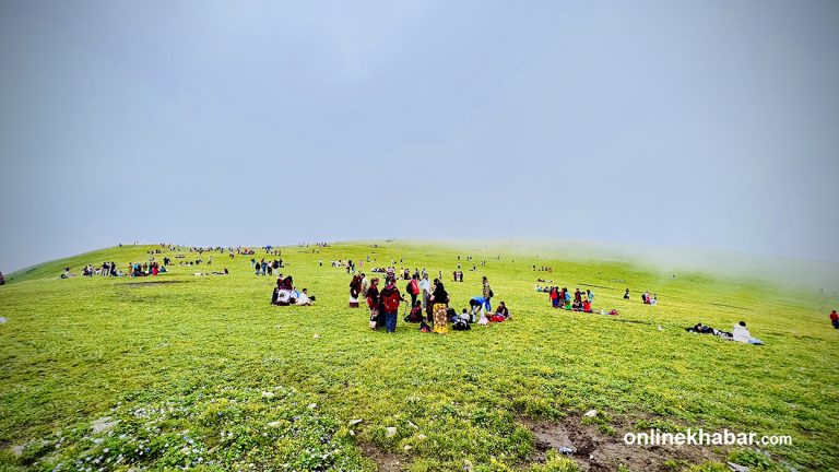 चौरीखर्क : बुकीफूल र बादलको लुकामारी (तस्वीरहरू)