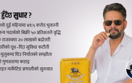 सरकारका १०० दिन : डीडीसीलाई बेथितिबाट फर्काएको हो ?