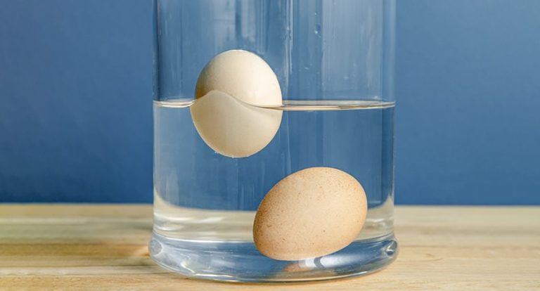 अण्डा बिग्रिएको छ कि छैन ? यसरी गर्न सकिन्छ घरमै जाँच