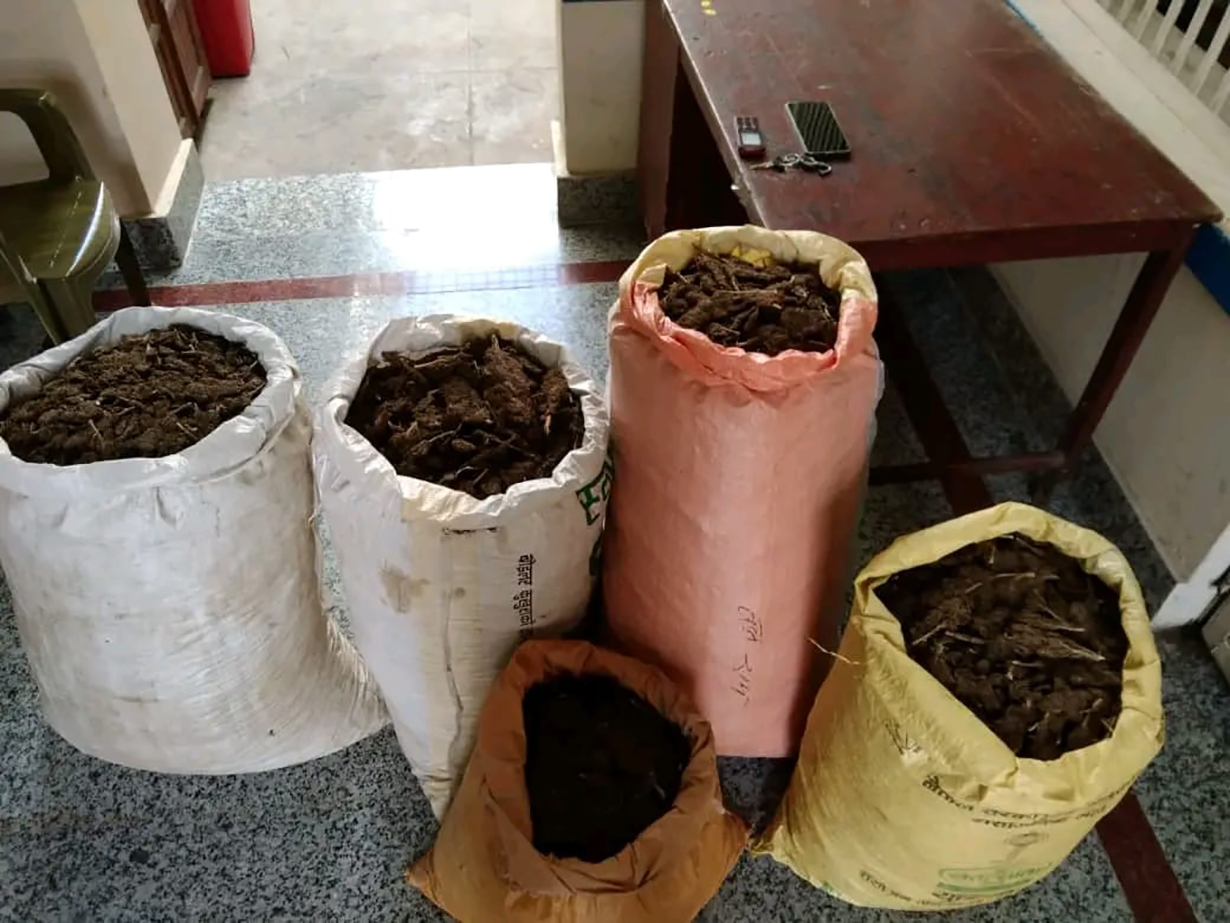 धनकुटामा ७१ किलो गाँजासहित २ जना पक्राउ