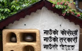 कंक्रिटको जंगलमा लुकेको गाउँले घर