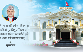 बच्चा संख्या आधारमा महिला कर्मचारीको अधिकार गुम्नु हुँदैन