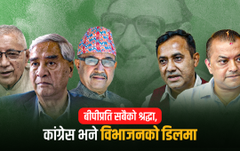 कांग्रेस नेता : बीपीलाई मान्छन्, एक अर्कालाई मान्दैनन्