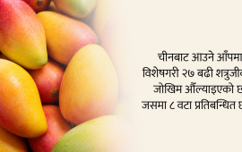 चीनबाट आउने आँपमा पनि नेपालले लगायो कडा सर्त, कति हुन्छ आयात ?