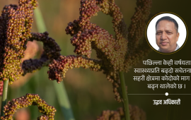कोदोको अर्थ राजनीति
