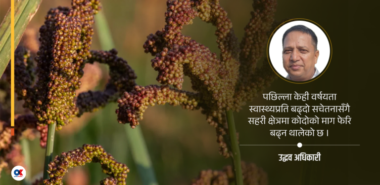कोदोको अर्थ राजनीति