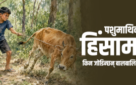 पशुमाथिको क्रूरतामा नाबालकको संलग्नता किन बढिरहेको छ ?