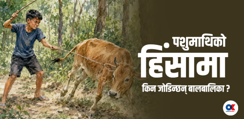 पशुमाथिको क्रूरतामा नाबालकको संलग्नता किन बढिरहेको छ ?