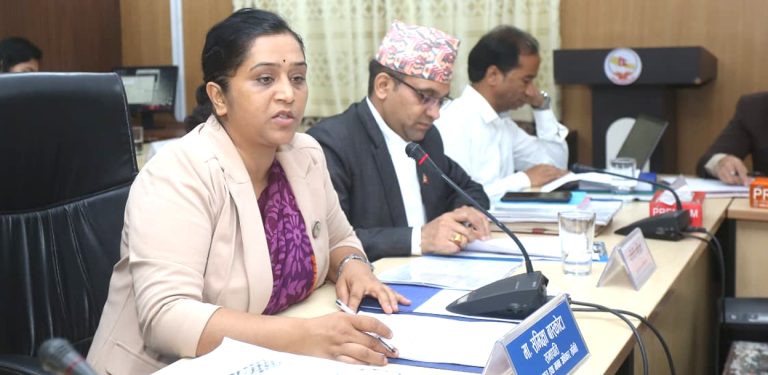मिनी संसद्‌मा उठ्यो मिडिया हाउसहरू अगाडि शंकास्पद गाडी पार्किङको विषय