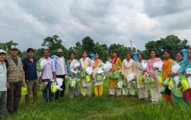 जंगली बिरालो जोगाउने प्रयास, करेसाबारी कार्यक्रमका लागि तालिम