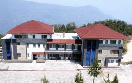 वर्षायाममा सडक जोगाउने प्रयास : गोलिया काठ ढुवानीमा रोक