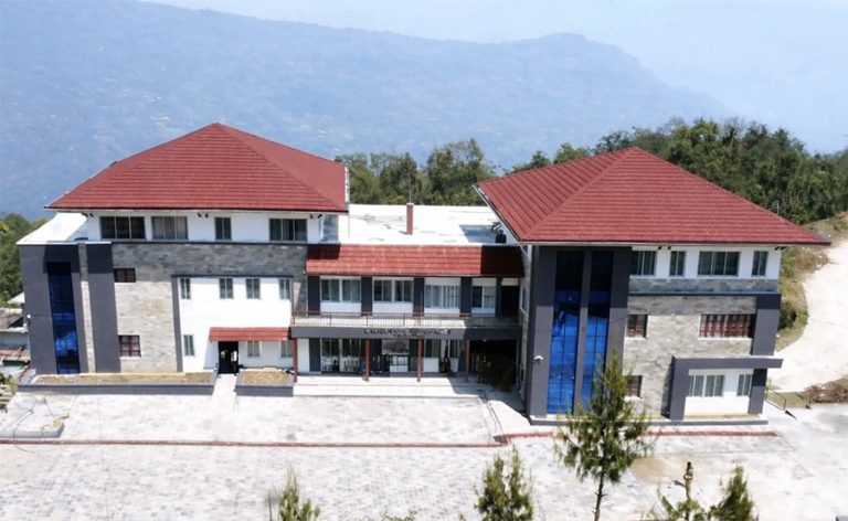 वर्षायाममा सडक जोगाउने प्रयास : गोलिया काठ ढुवानीमा रोक