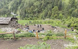 बाजुरा लाम्पाटा घटना : १० जना पुर्पक्षका लागि थुनामा, ८ जनालाई धरौटी