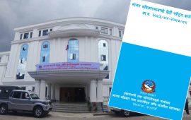 सरकारले ल्यायो २०८८ सालसम्मको मानव अधिकारसम्बन्धी कार्ययोजना