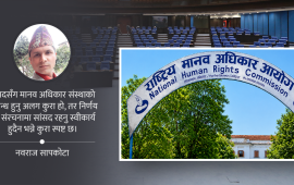 मानव अधिकार आयोगको प्रभावकारितामा संसद्को भूमिका