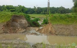 कोशी पम्प नहरको बाँध भत्कियो, झलही क्षेत्रमा डुबान