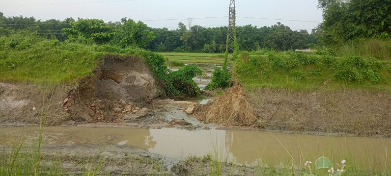 कोशी पम्प नहरको बाँध भत्कियो, झलही क्षेत्रमा डुबान