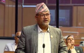 यो सरकार राष्ट्र जलाएर आएको राक्षसी सरकार हो : सांसद बिष्ट