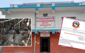 राष्ट्रिय कानुन नबन्दै स्थानीयमा तहमा : थलाराले बनायो पशु कल्याण ऐन